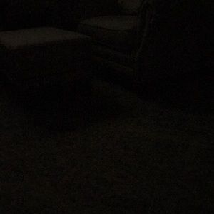 Meet your Posher, Ernesto